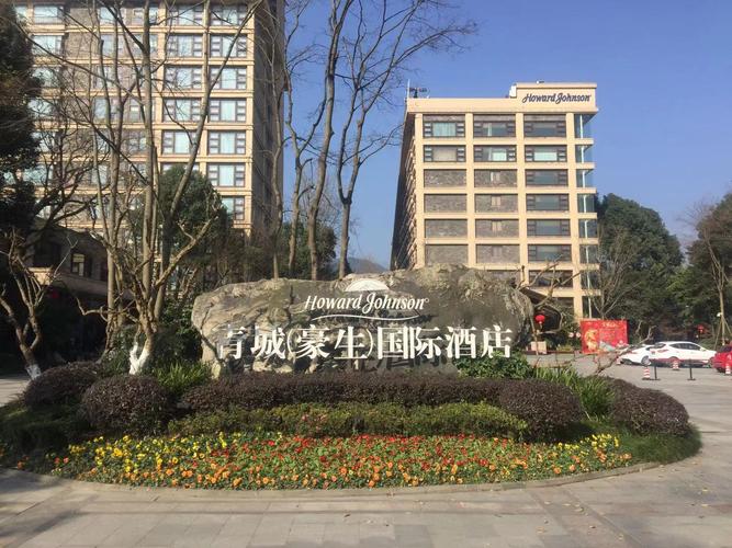 二、四川雷视文化传媒有限公司