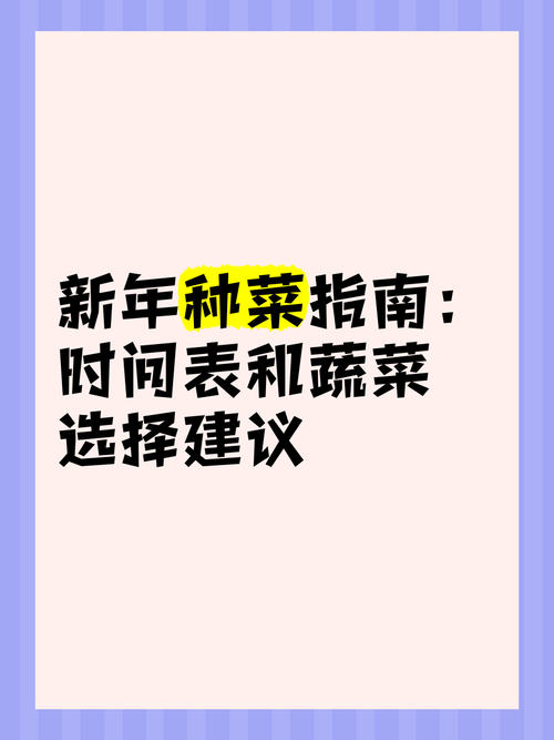 选择建议
