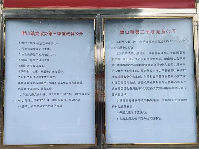 镇政务公开渠道