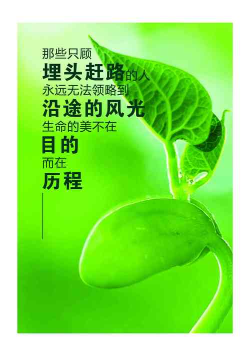 ▍高潮:情感共鸣金句