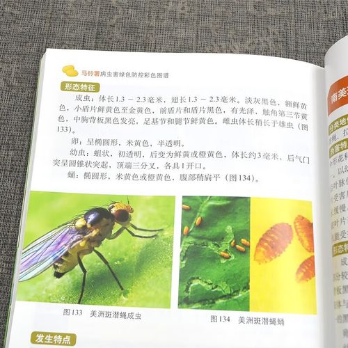 案例鉴别