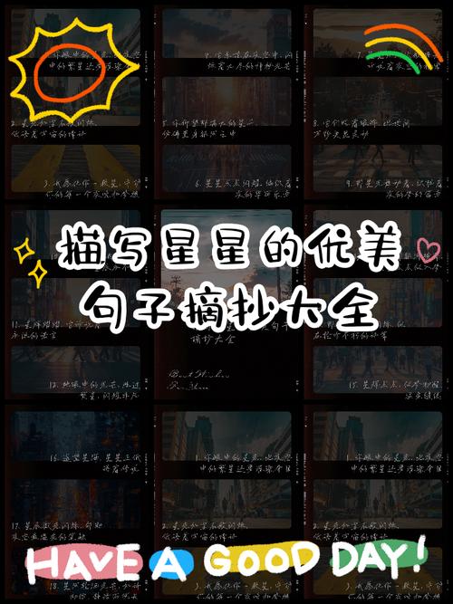 🌟 内容亮点速览