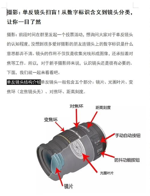 二、镜头运用技巧