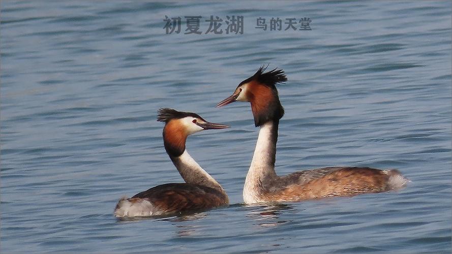 生态篇